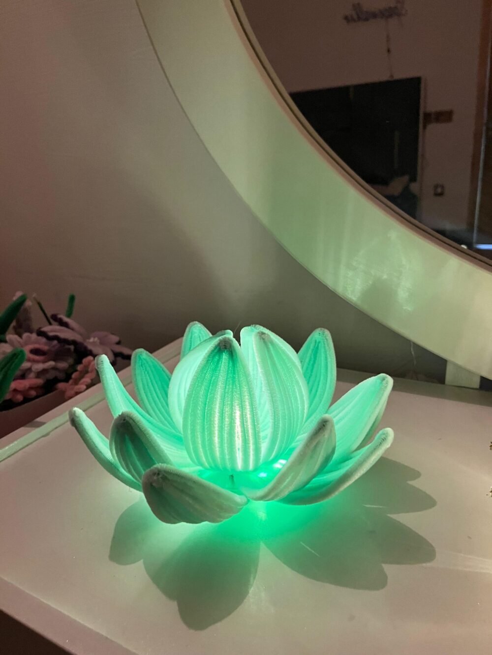 Lotus Bloom