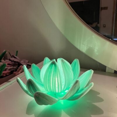 Lotus Bloom