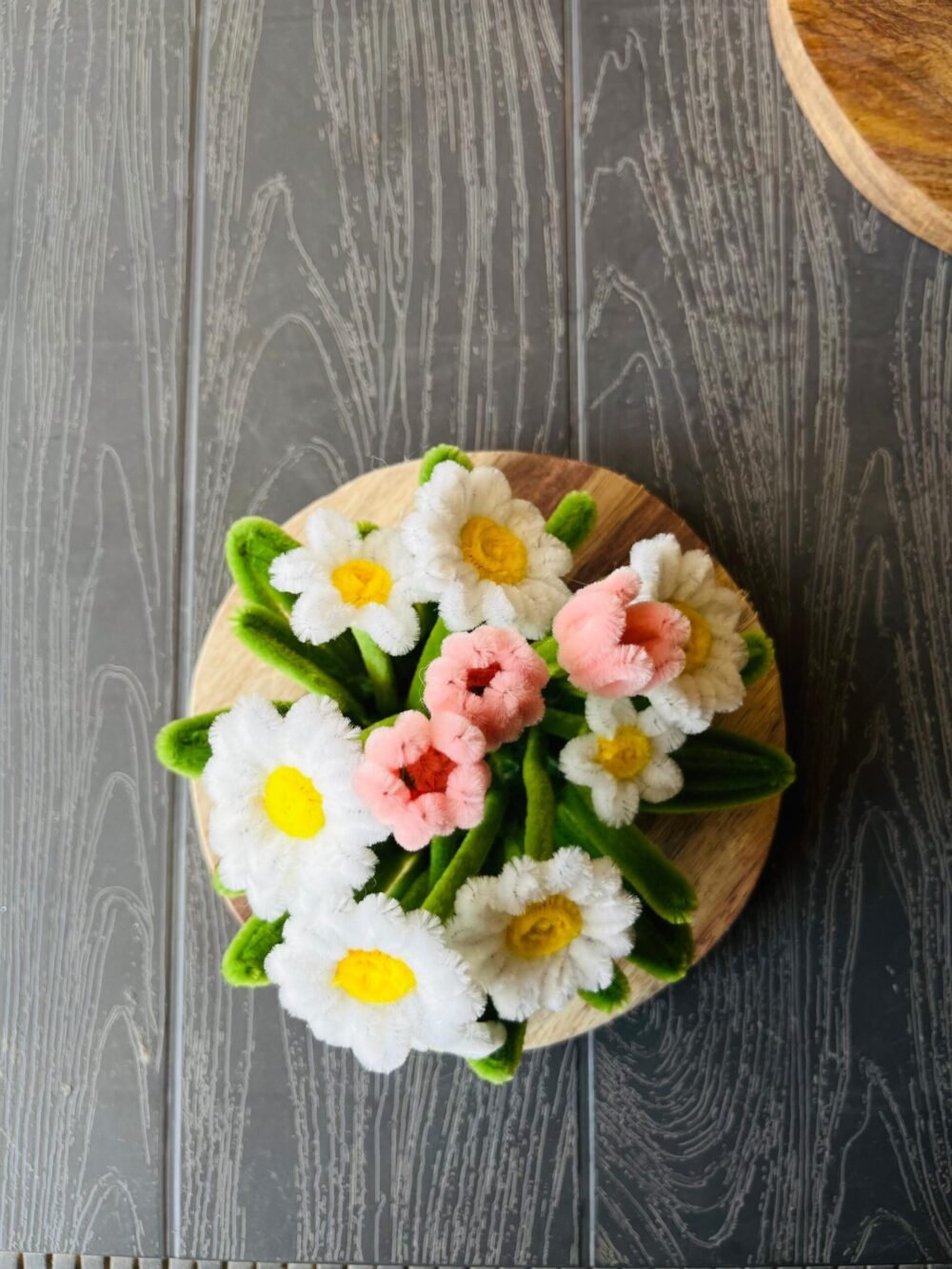Tulip Daisy