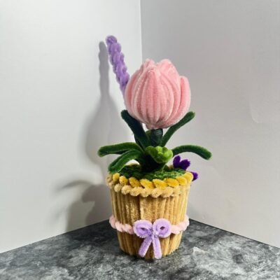 Lavender Tulip