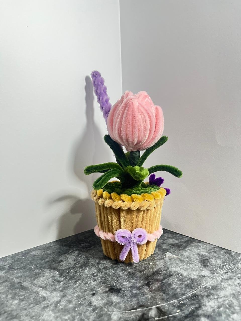Lavender Tulip