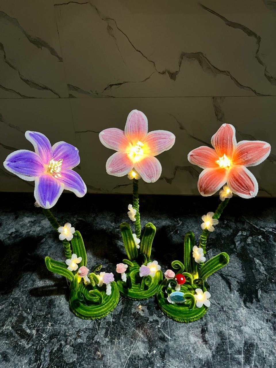 Lilly Bloom