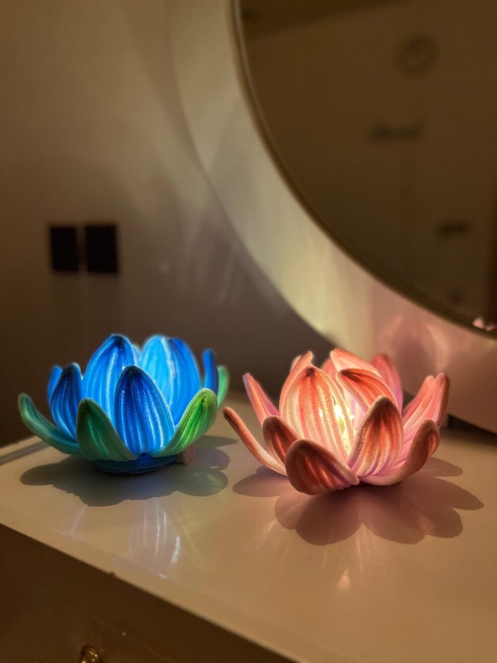 Lotus Bloom