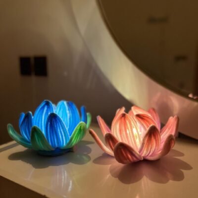 Lotus Bloom