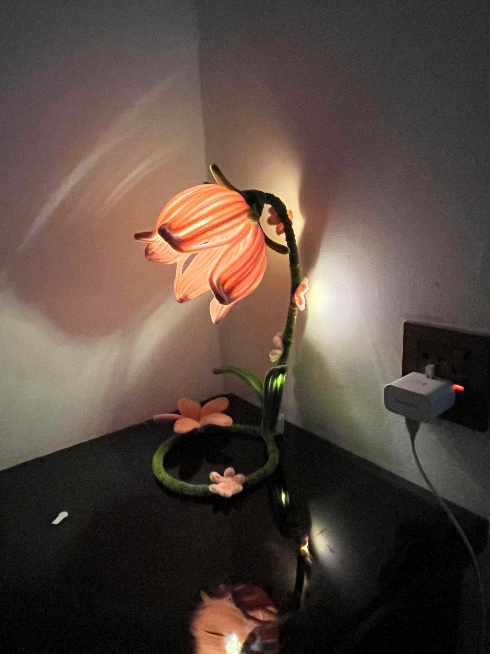Tulip