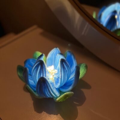Lotus Bloom