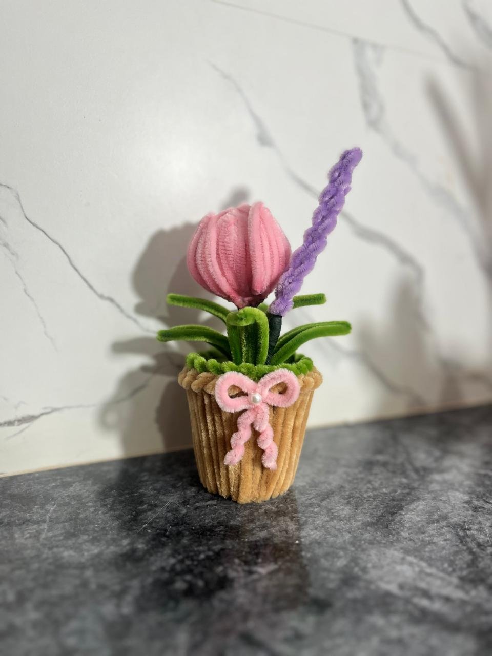 Lavender Tulip