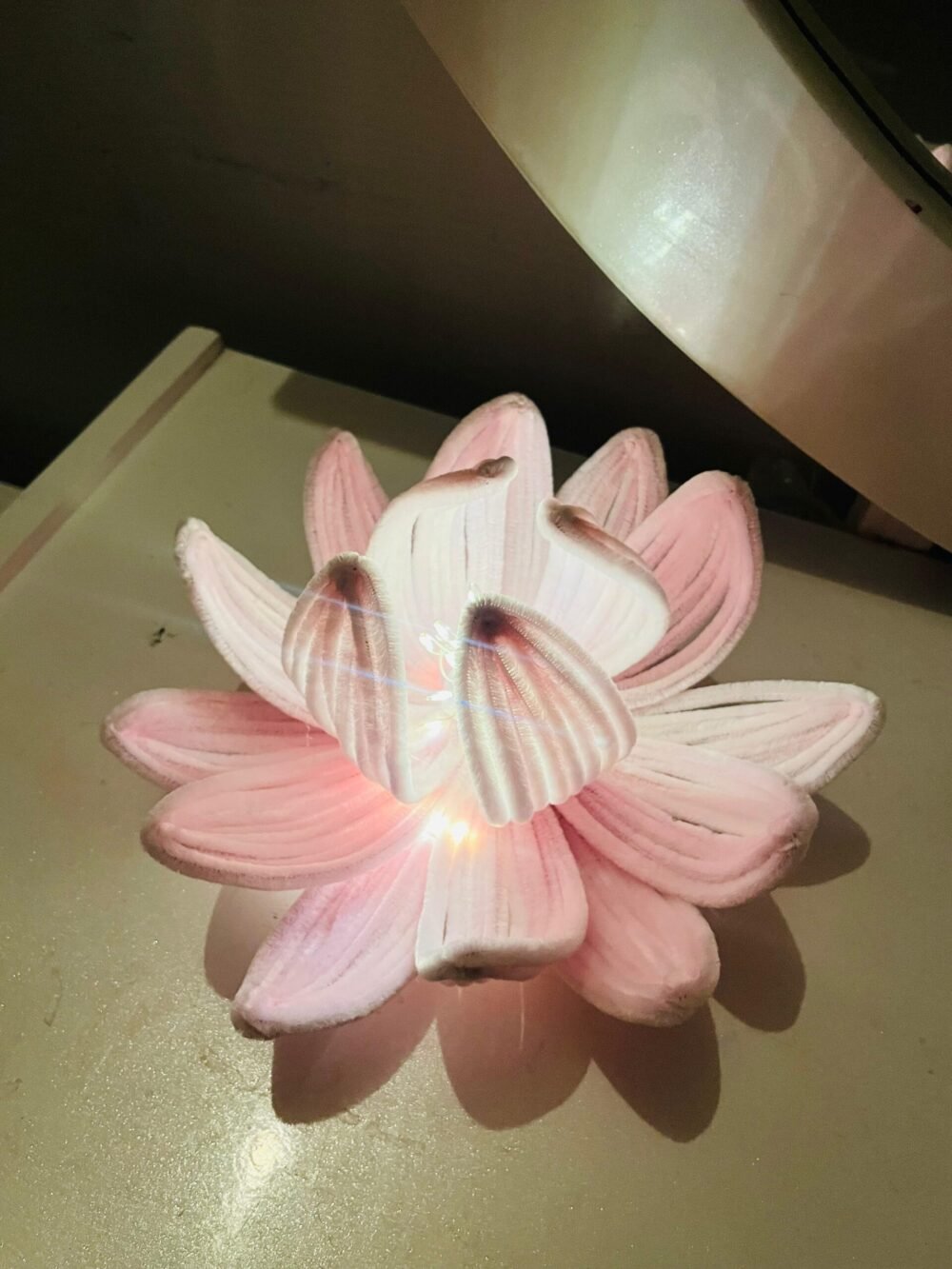 Lotus Bloom