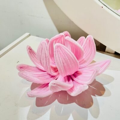 Lotus Bloom
