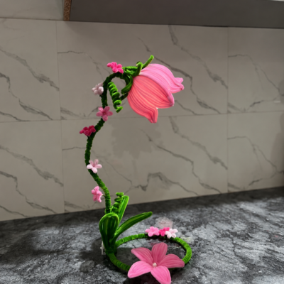 pink Daisly