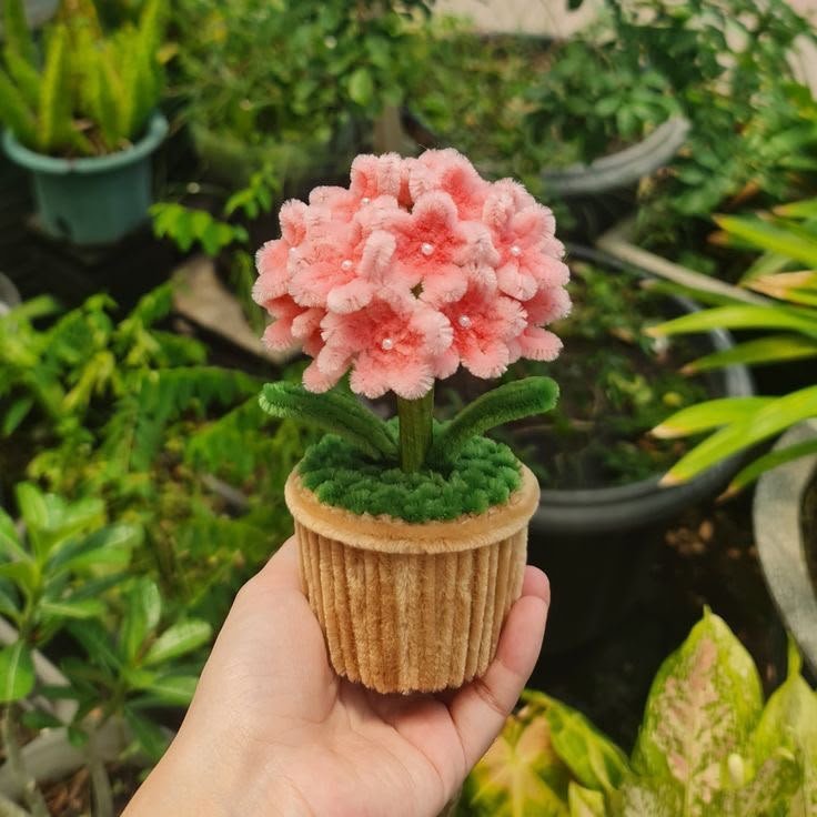 Pink Mini Daisy Pot