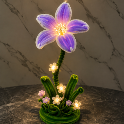 Lilly Bloom