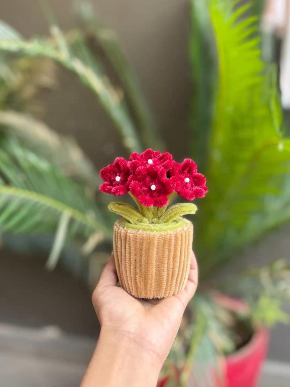 Red Mini Daisy