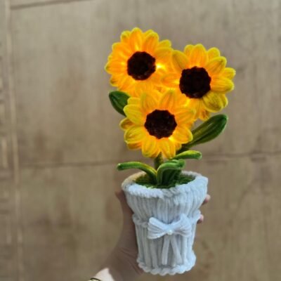Sunlight Pot