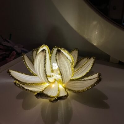 Lotus Bloom