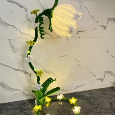 white Daisly