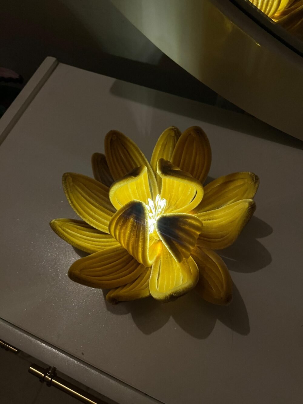 Lotus Bloom