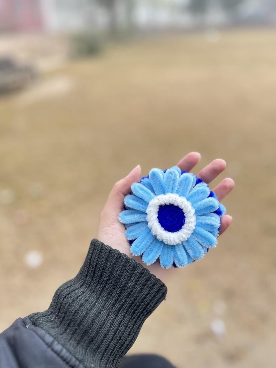 Garbera Mirror