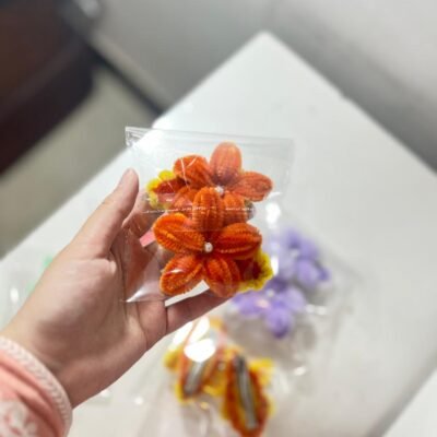 Hair Clip