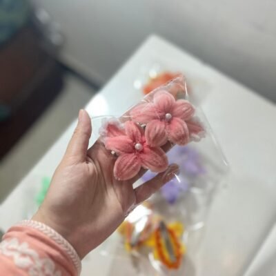 Hair Clip