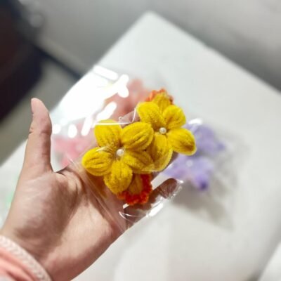 Hair Clip