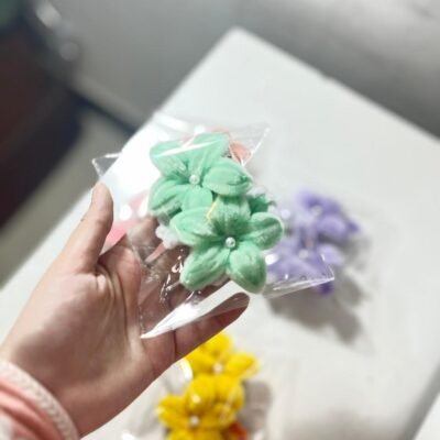 Hair Clip