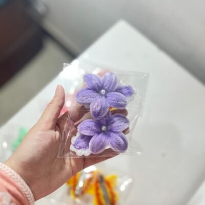 Hair Clip