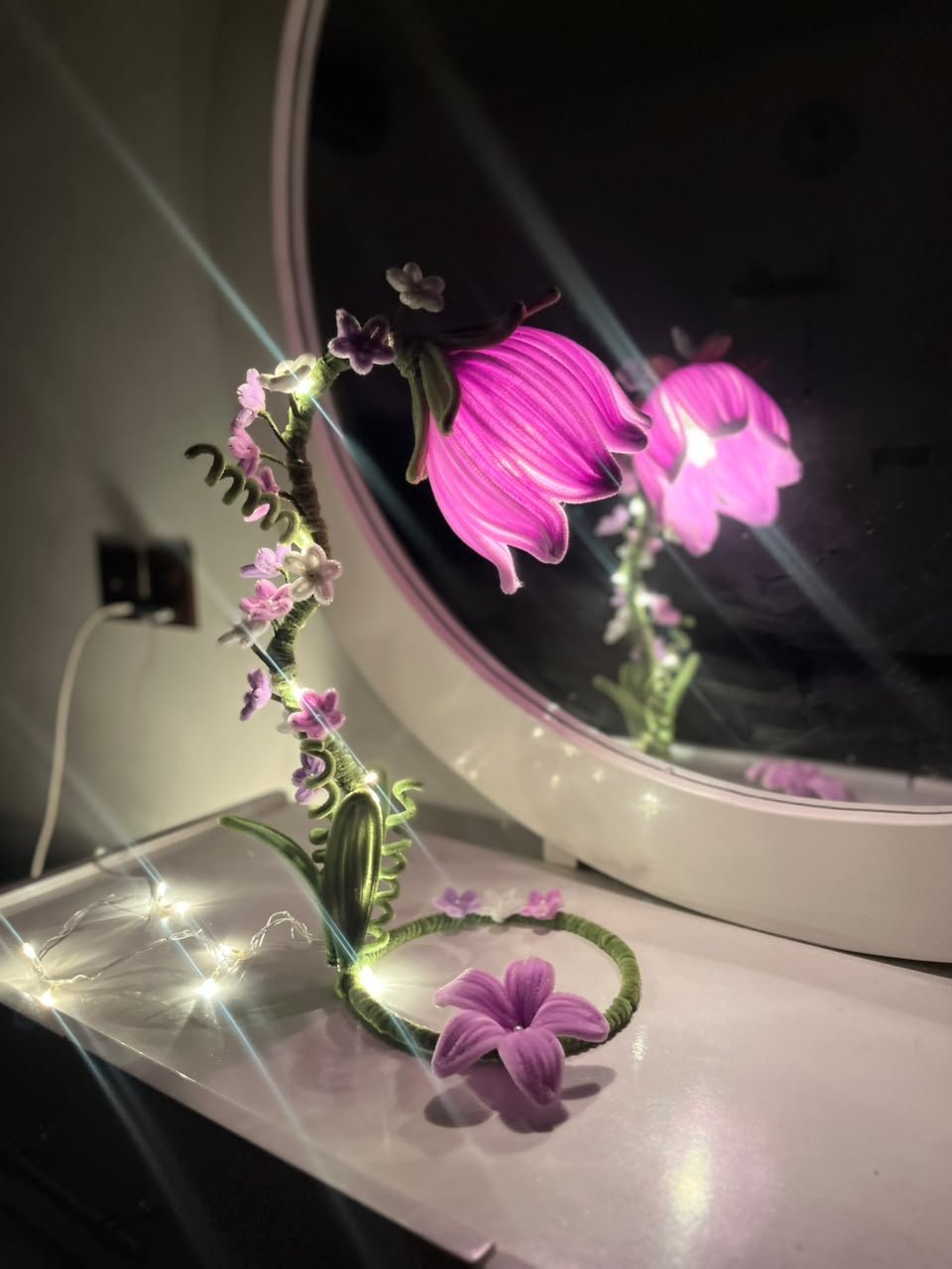 daisly